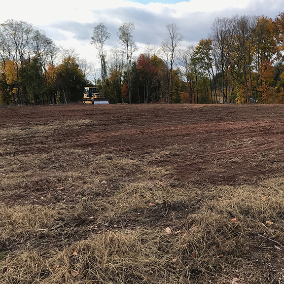 Land Clearing CT