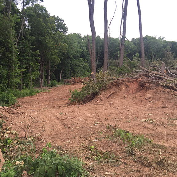 Land Clearing CT